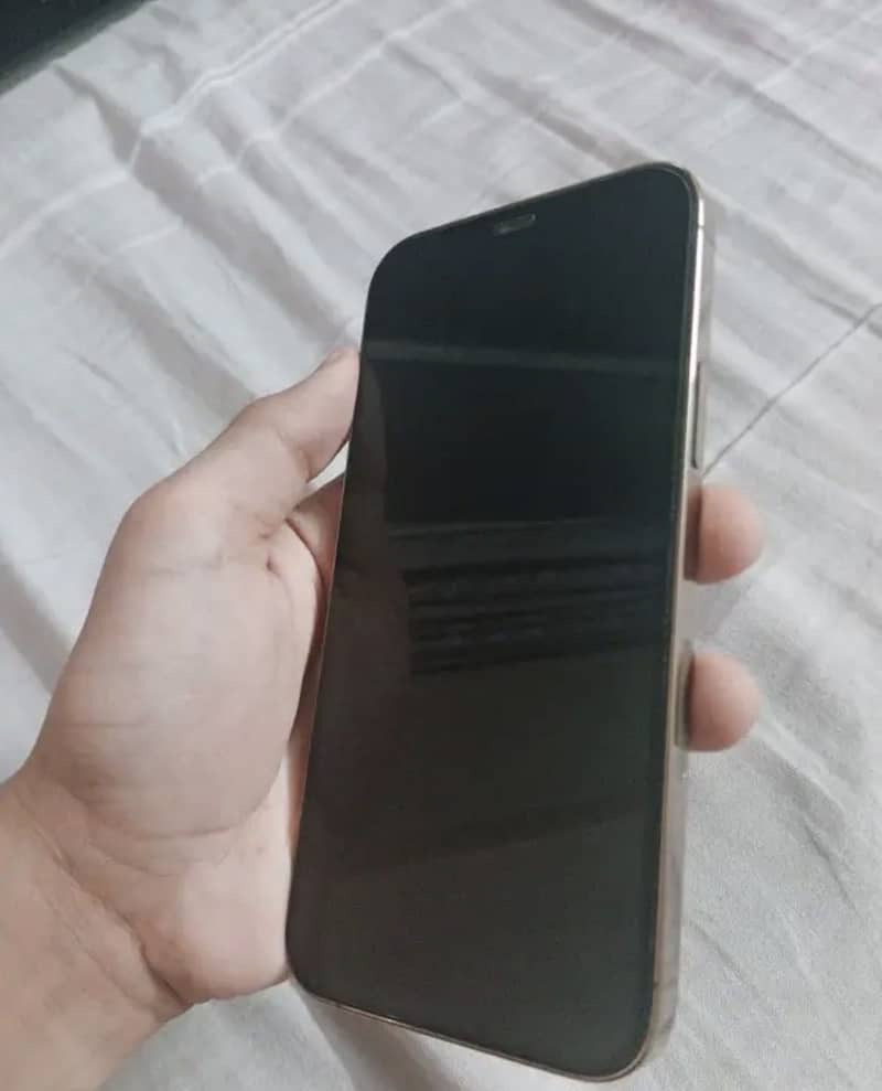 Apple iPhone 12 Pro 2
