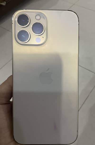 Apple iPhone 13 Pro Max
