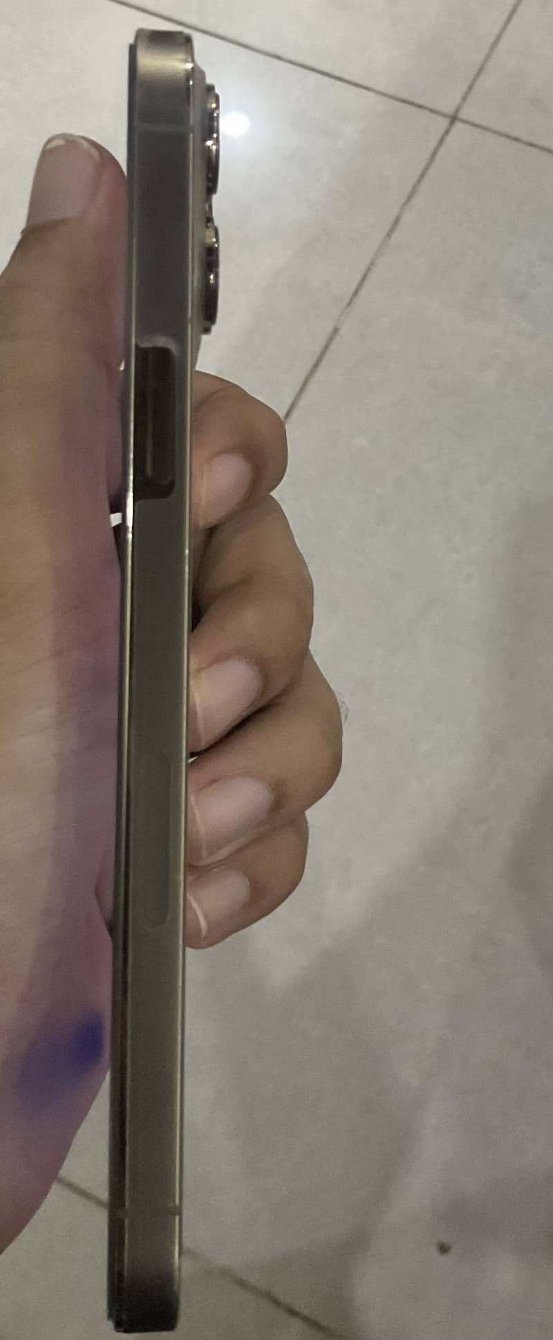 Apple iPhone 13 Pro Max 2