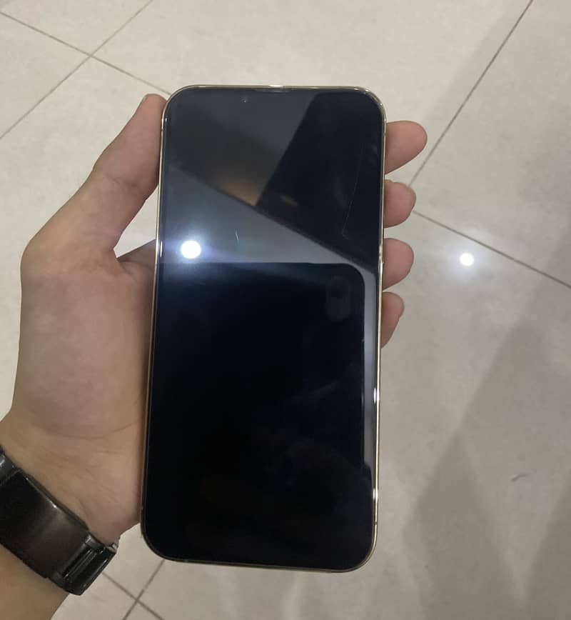 Apple iPhone 13 Pro Max 3
