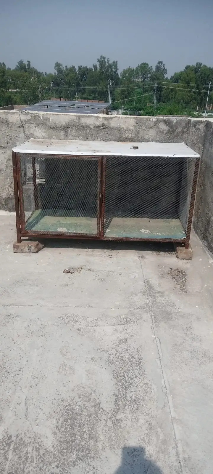 Birds cage for sale — photo 3