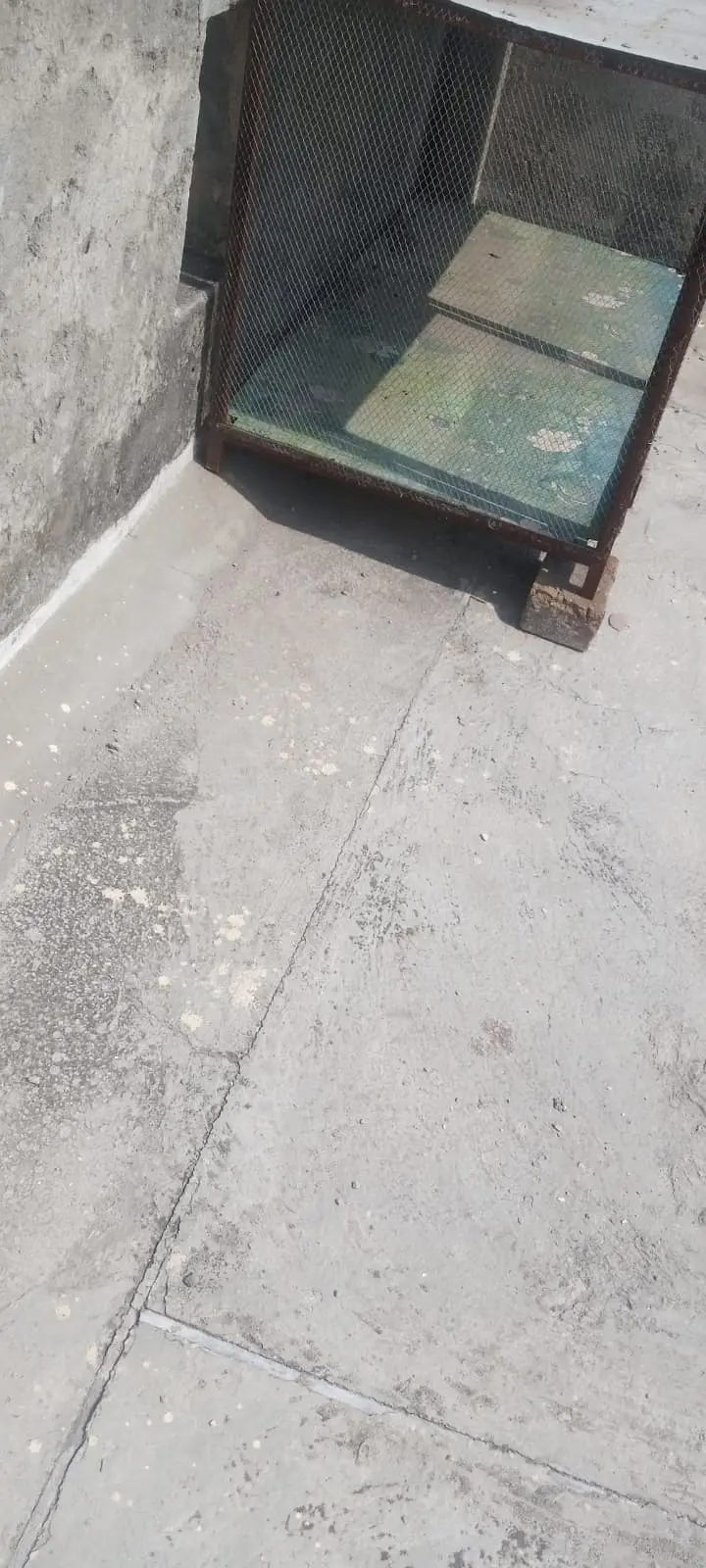 Birds cage for sale — photo 4