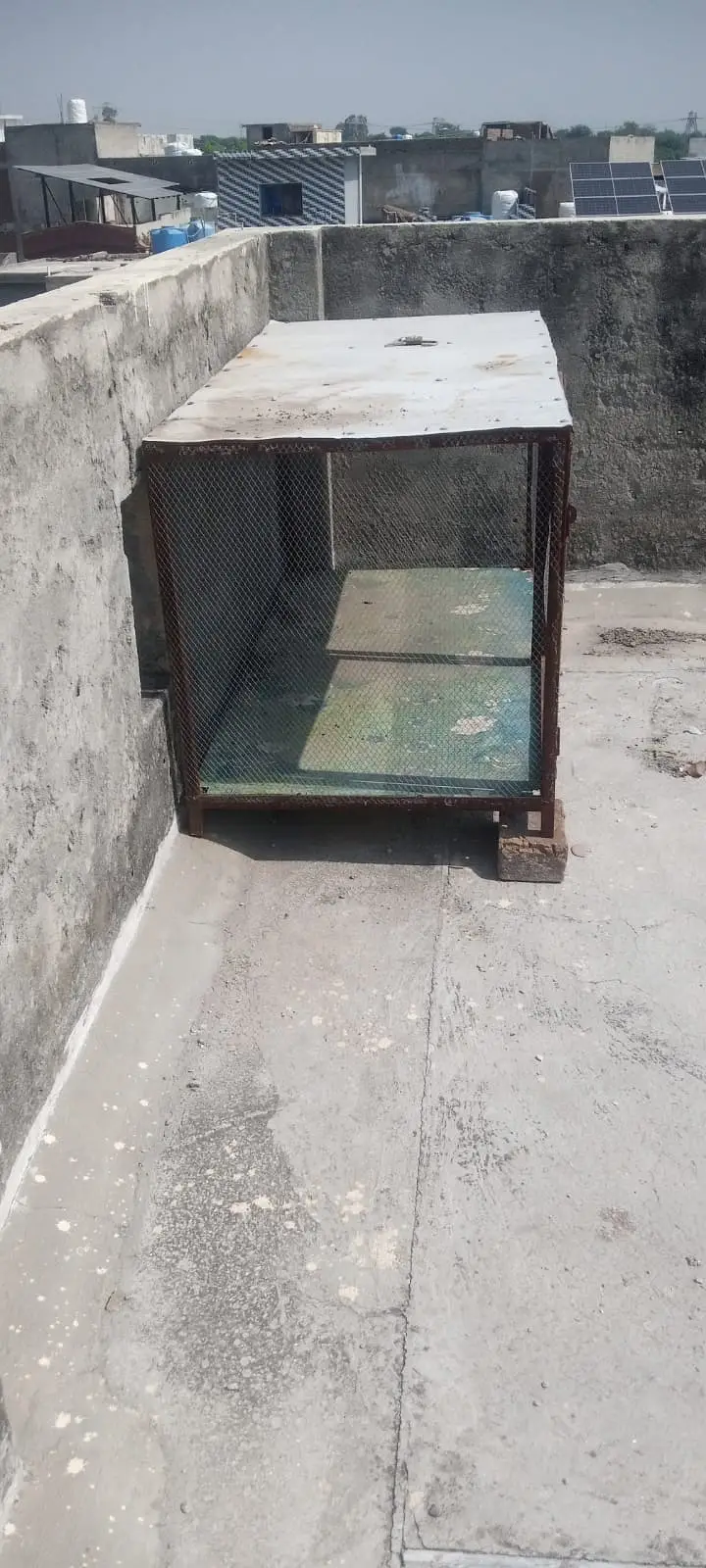 Birds cage for sale — photo 8