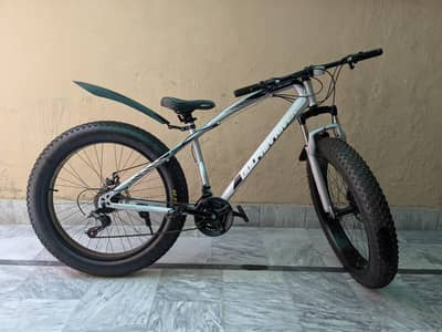 Fat Tyre Bicycle