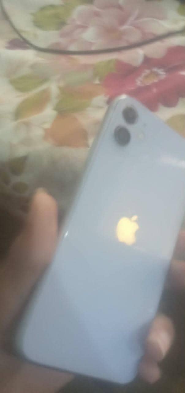 Apple iPhone 11 0