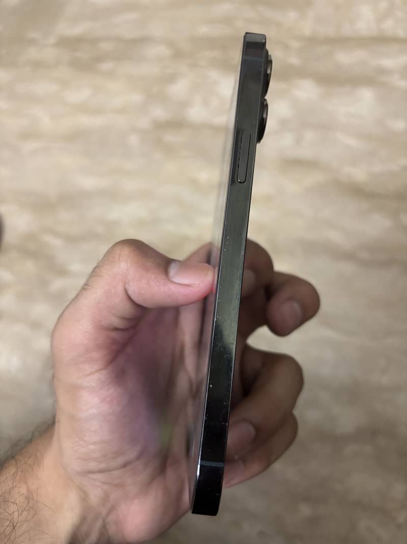 Apple iPhone 13 Pro Max 1