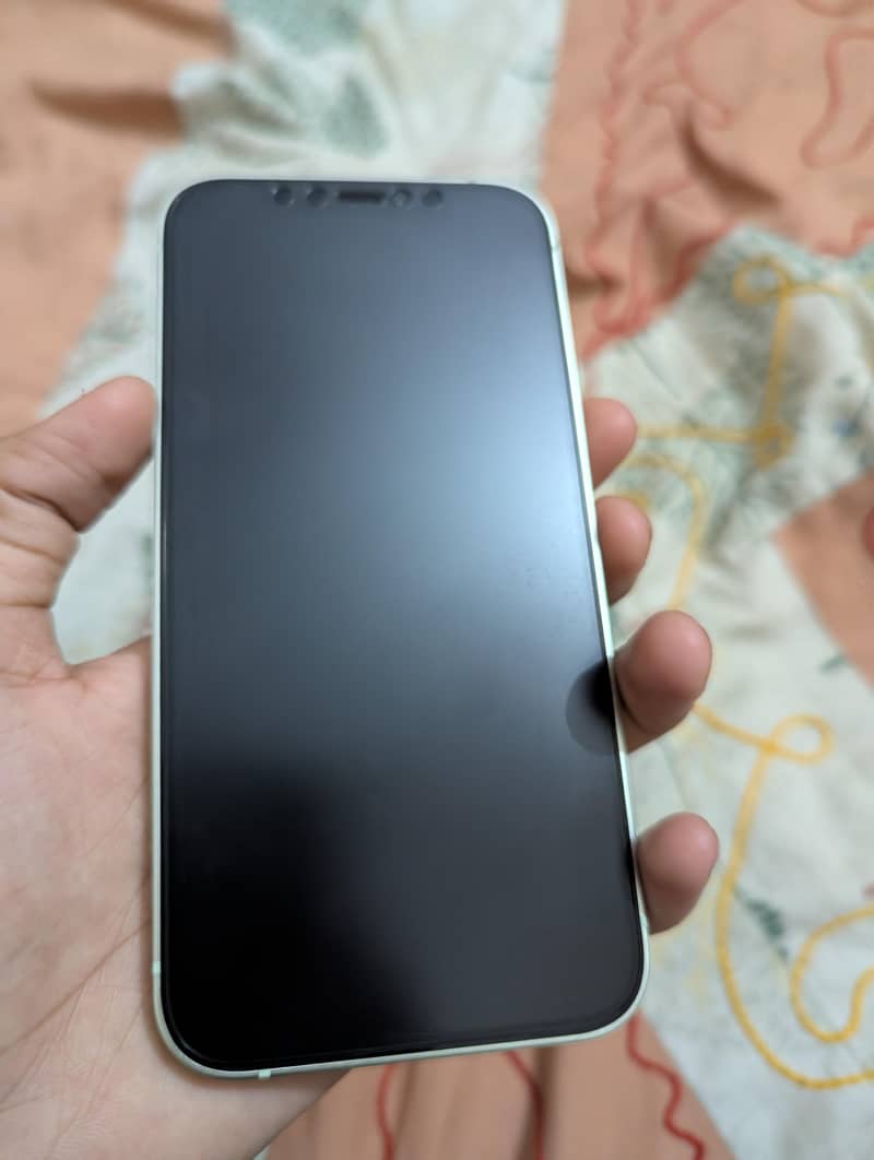 Apple iPhone 12 1