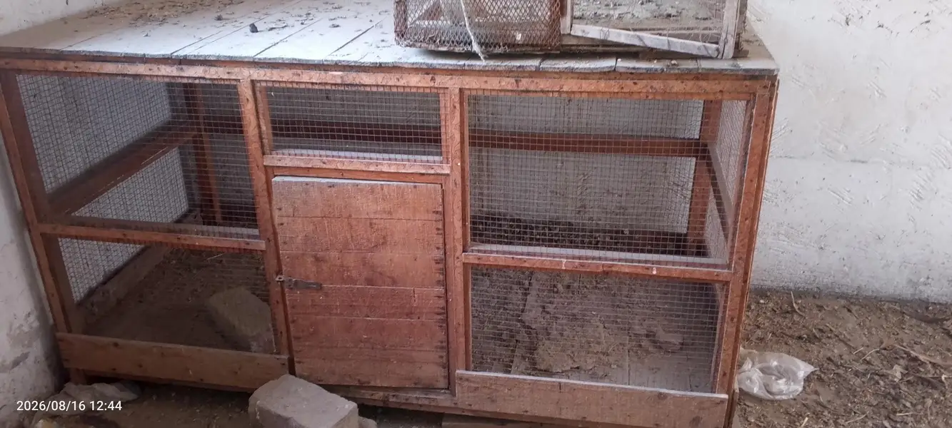 aseel pathiya — photo 3