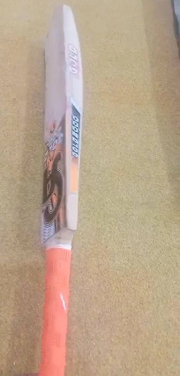 Cricket 1