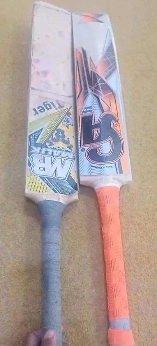 Cricket 2