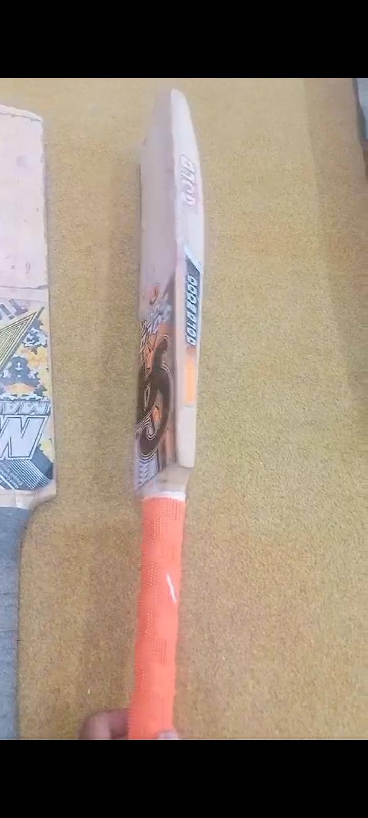 Cricket 3