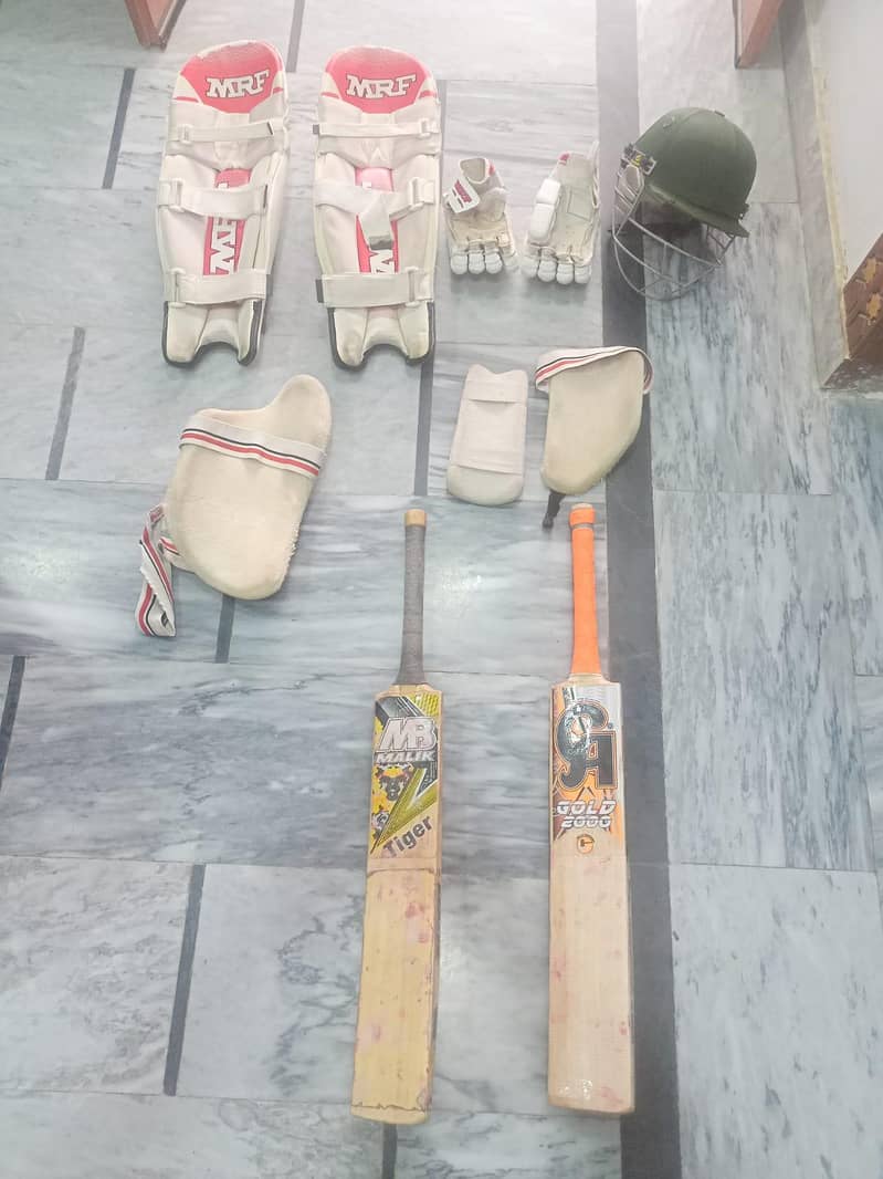 Cricket 6