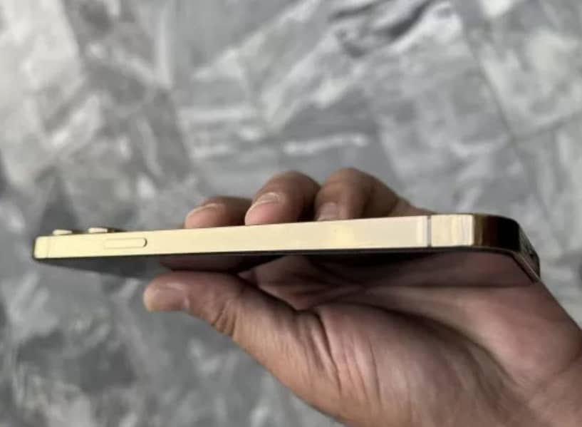 Apple iPhone 13 Pro Max 0