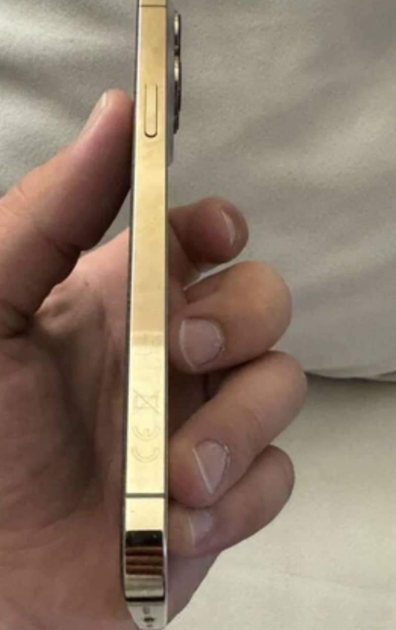 Apple iPhone 13 Pro Max 4