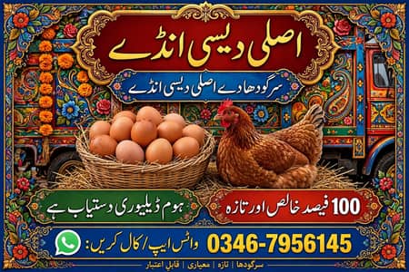 Golden Mesri Desi eggs dozen