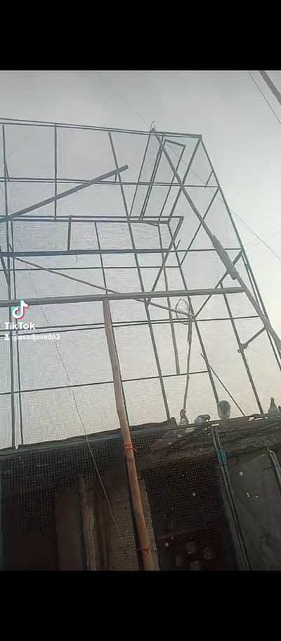 Large 12x12 Iron Pigeon Cage / Kabootar Jaal for Sale