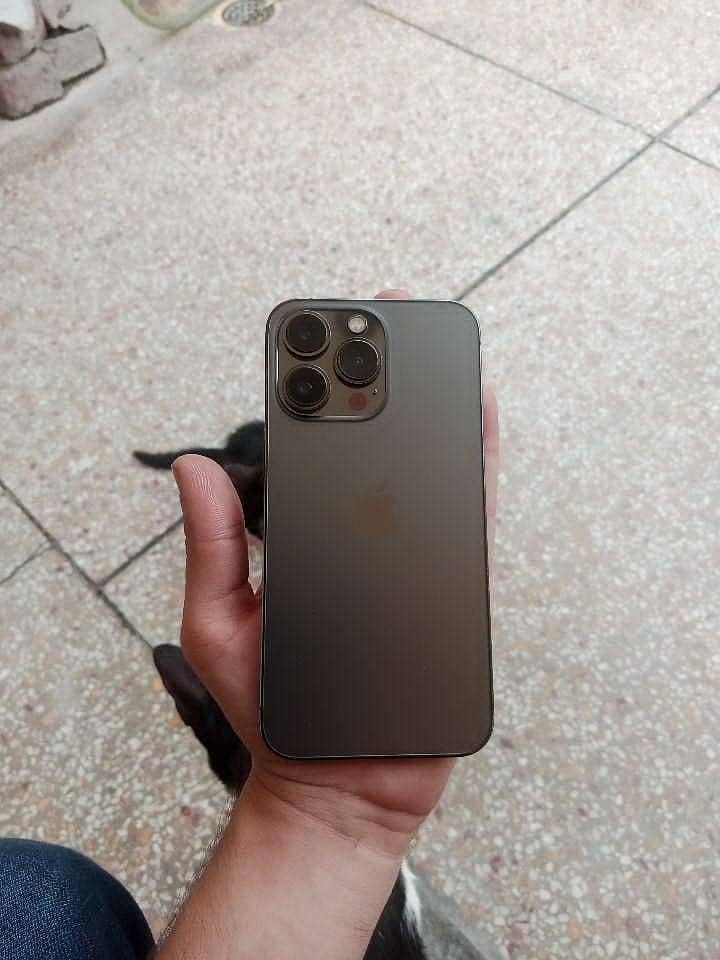 Apple iPhone 13 Pro 0