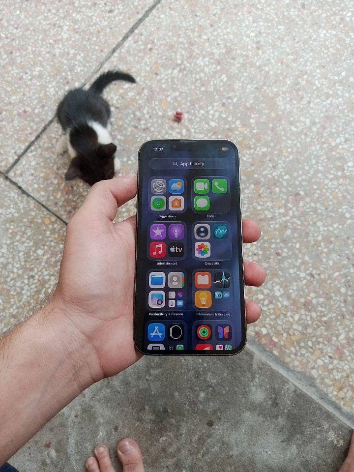Apple iPhone 13 Pro 1