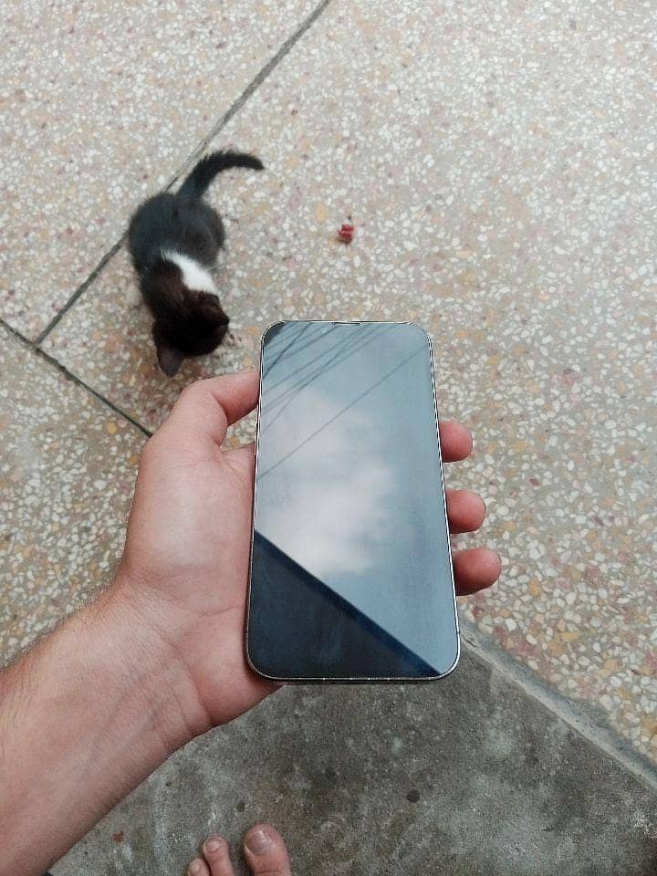 Apple iPhone 13 Pro 2