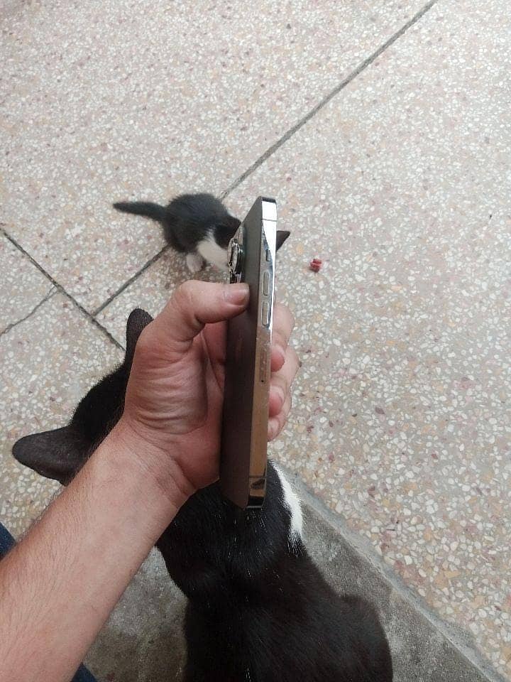 Apple iPhone 13 Pro 4