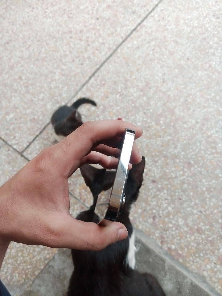 Apple iPhone 13 Pro 5