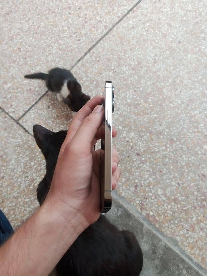 Apple iPhone 13 Pro 6