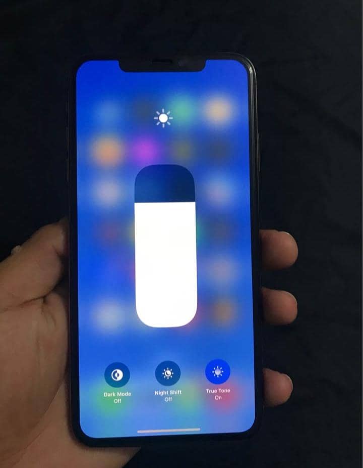 Apple iPhone XS Max bypass 1