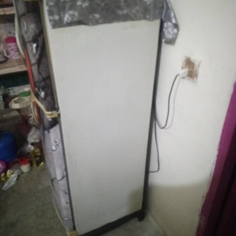waves fridge 1