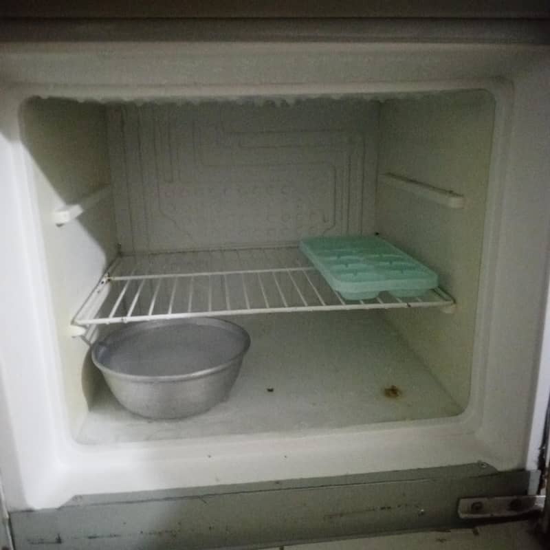 waves fridge 3
