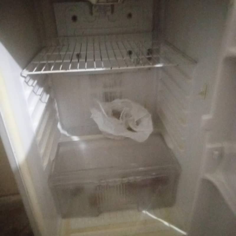 waves fridge 4