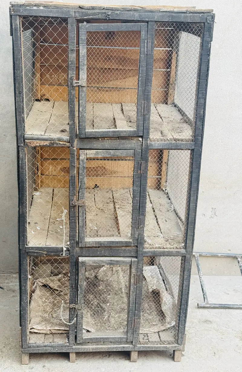Wooden Cage For Sale Wooden 3 portion cage — photo 3