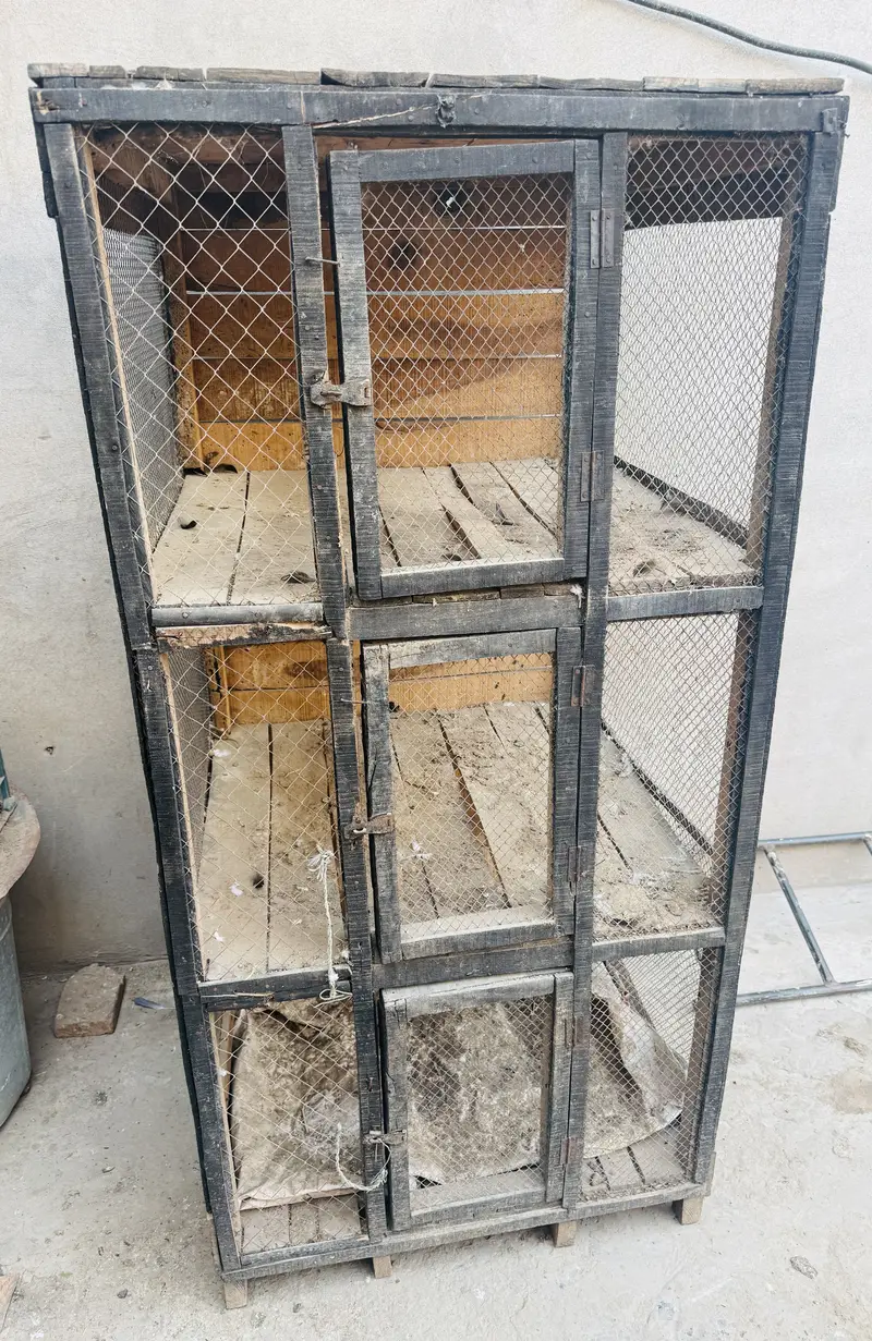 Wooden Cage For Sale Wooden 3 portion cage — photo 5