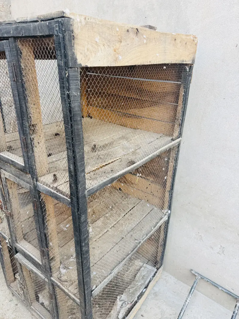 Wooden Cage For Sale Wooden 3 portion cage — photo 8