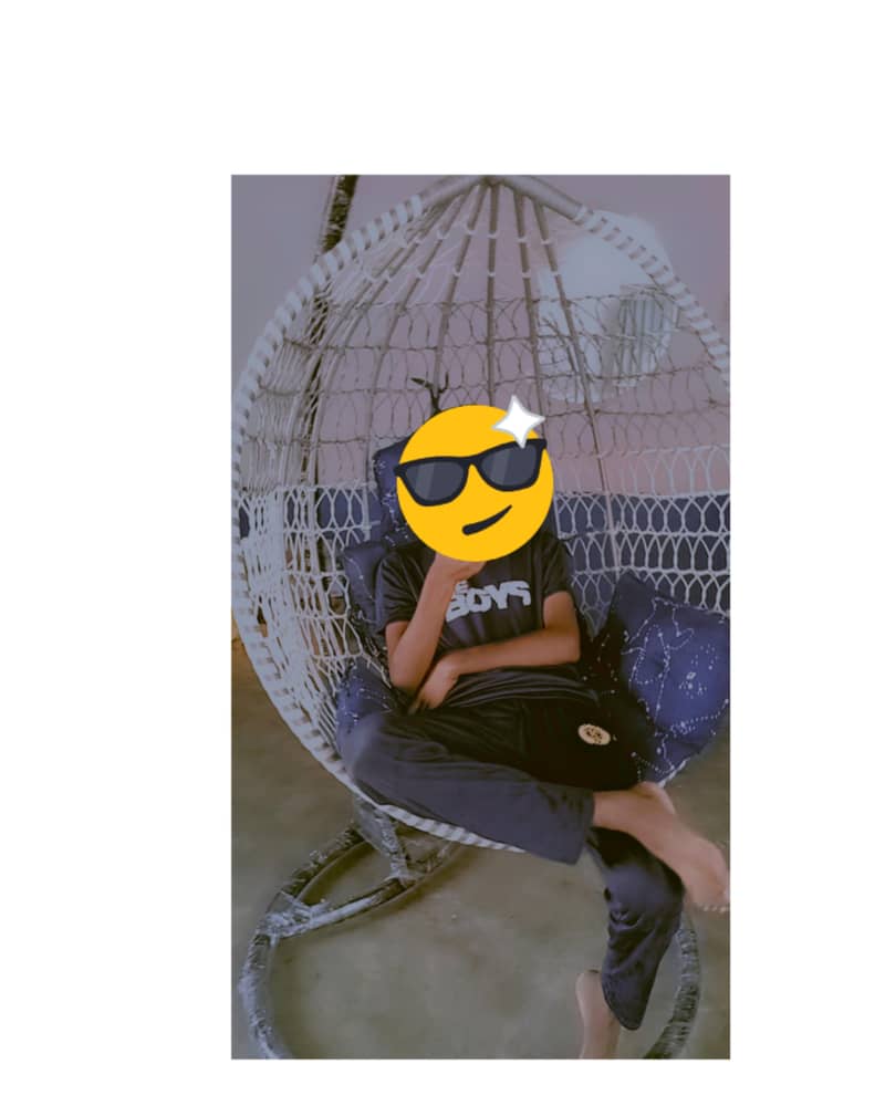 swing chair 0