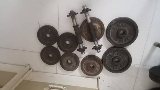 weight plates for home workout