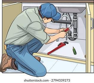 Professional plumber