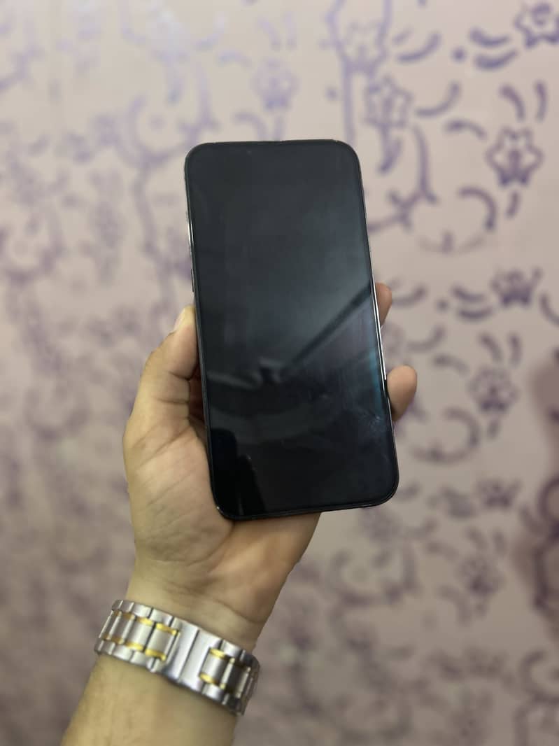 Apple iPhone 13 Pro Max 1