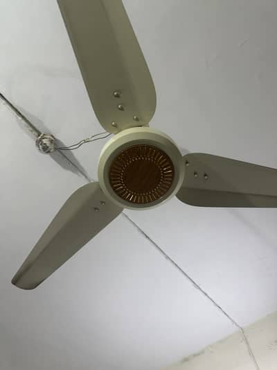 3 Ceiling Fans for Sale – Like New / Practically Unused