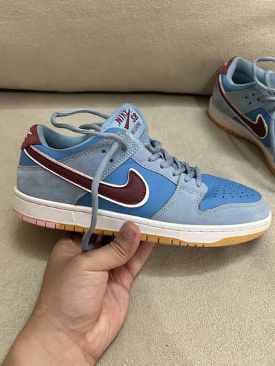 Nike dunks low pro