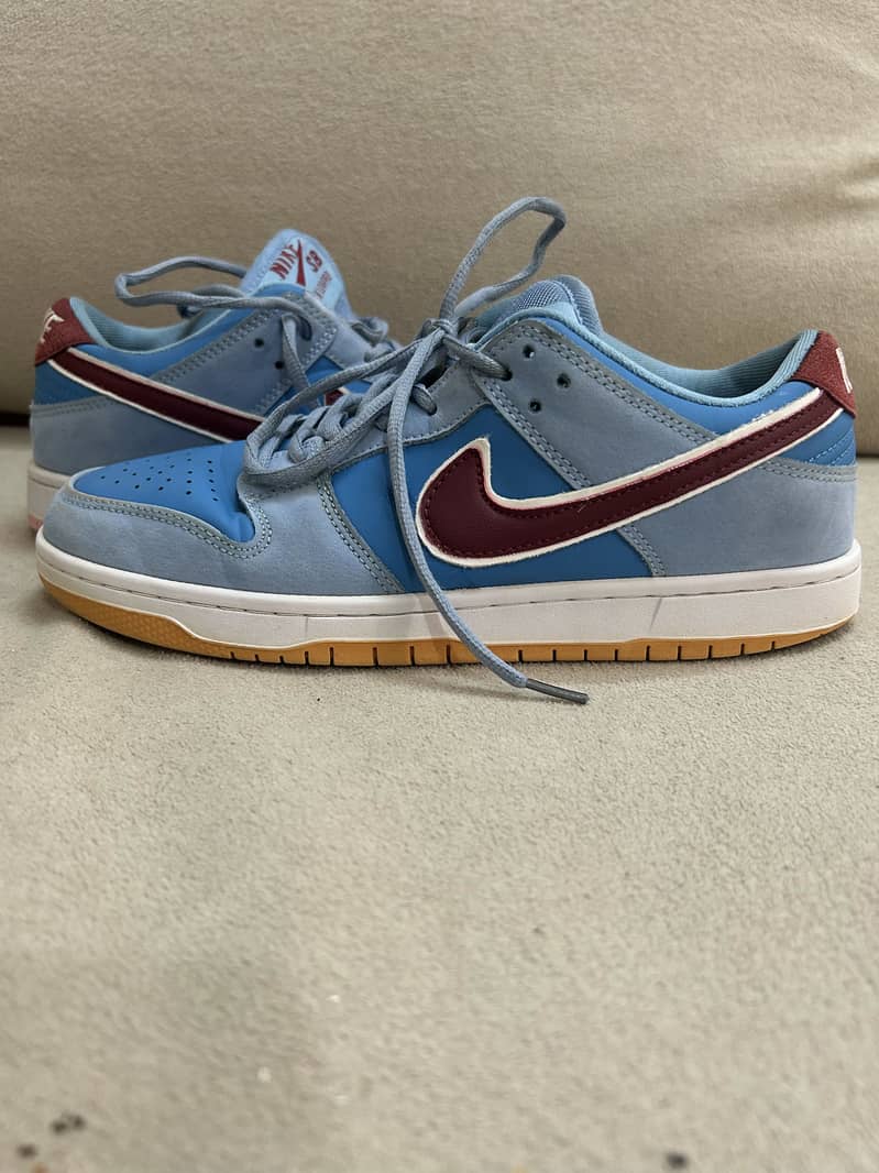 Nike dunks low pro 1