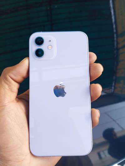 Apple iPhone 12