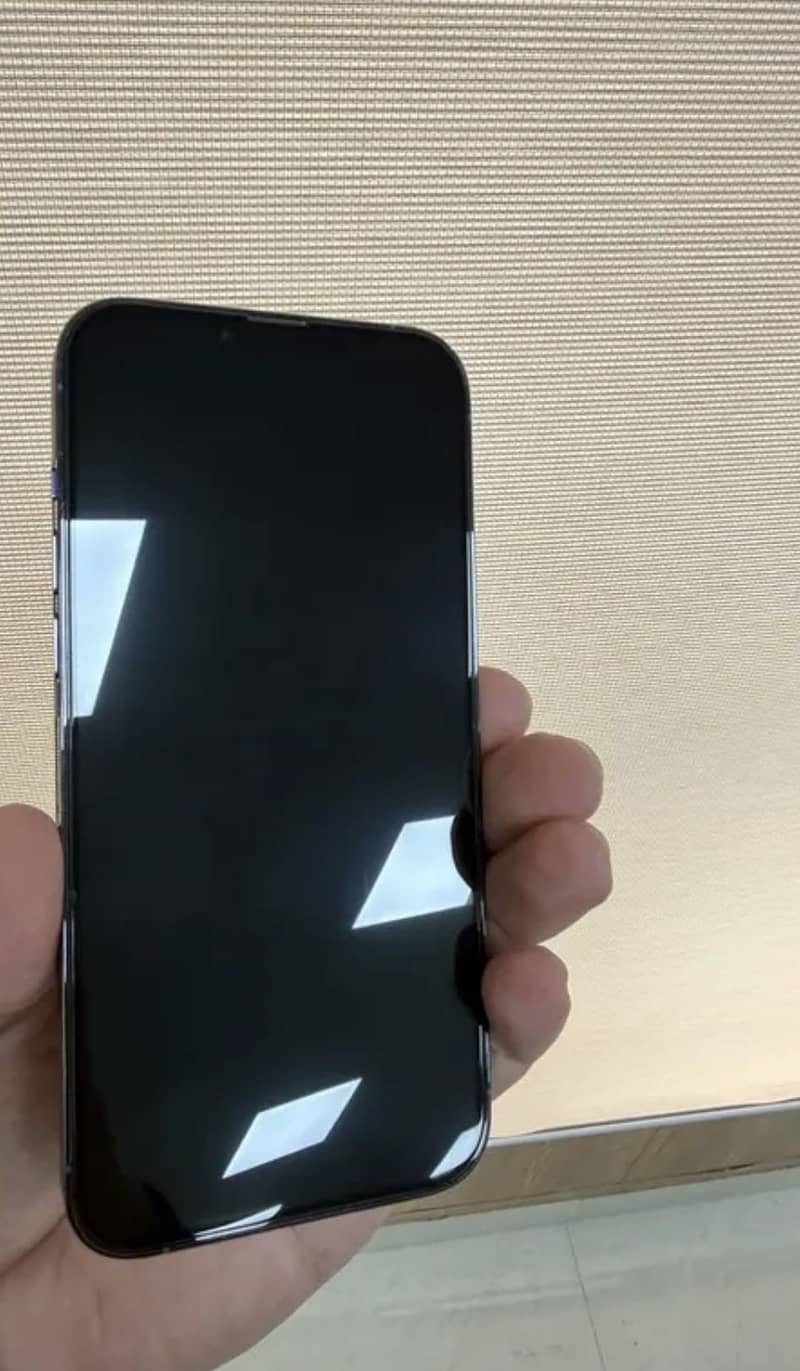 Apple iPhone 13 Pro Max 3