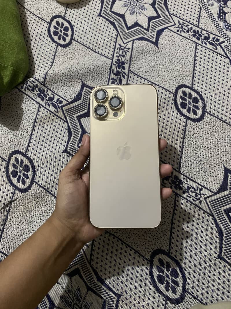 Apple iPhone 13 Pro Max 0