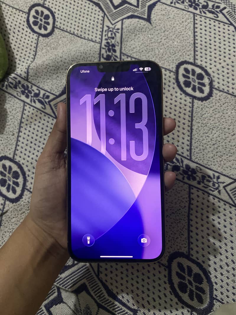 Apple iPhone 13 Pro Max 1