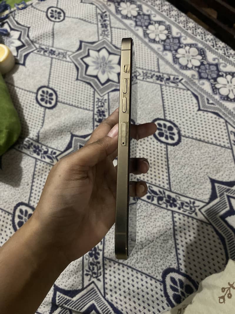 Apple iPhone 13 Pro Max 2
