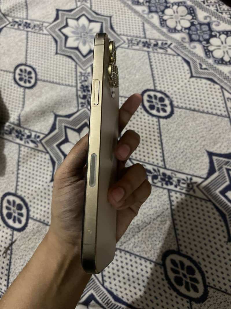 Apple iPhone 13 Pro Max 3