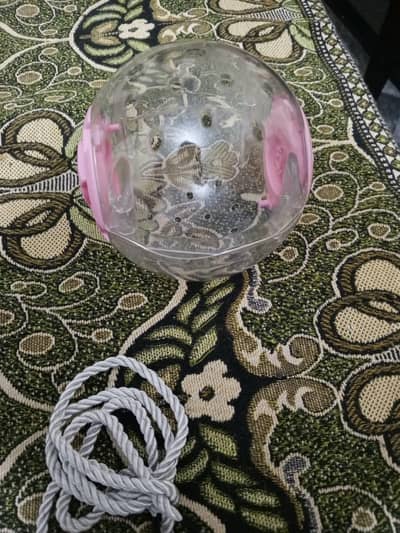 HAMSTER BALL & HARNESS FOR SALE