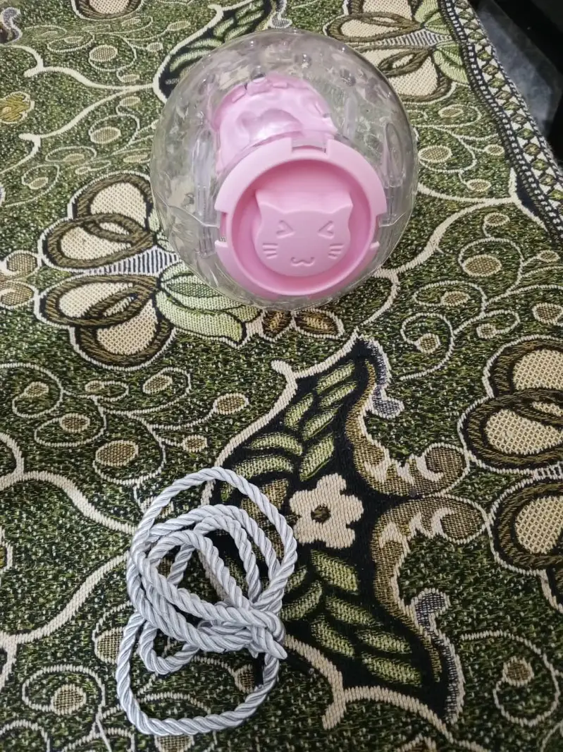 HAMSTER BALL & HARNESS FOR SALE — photo 2