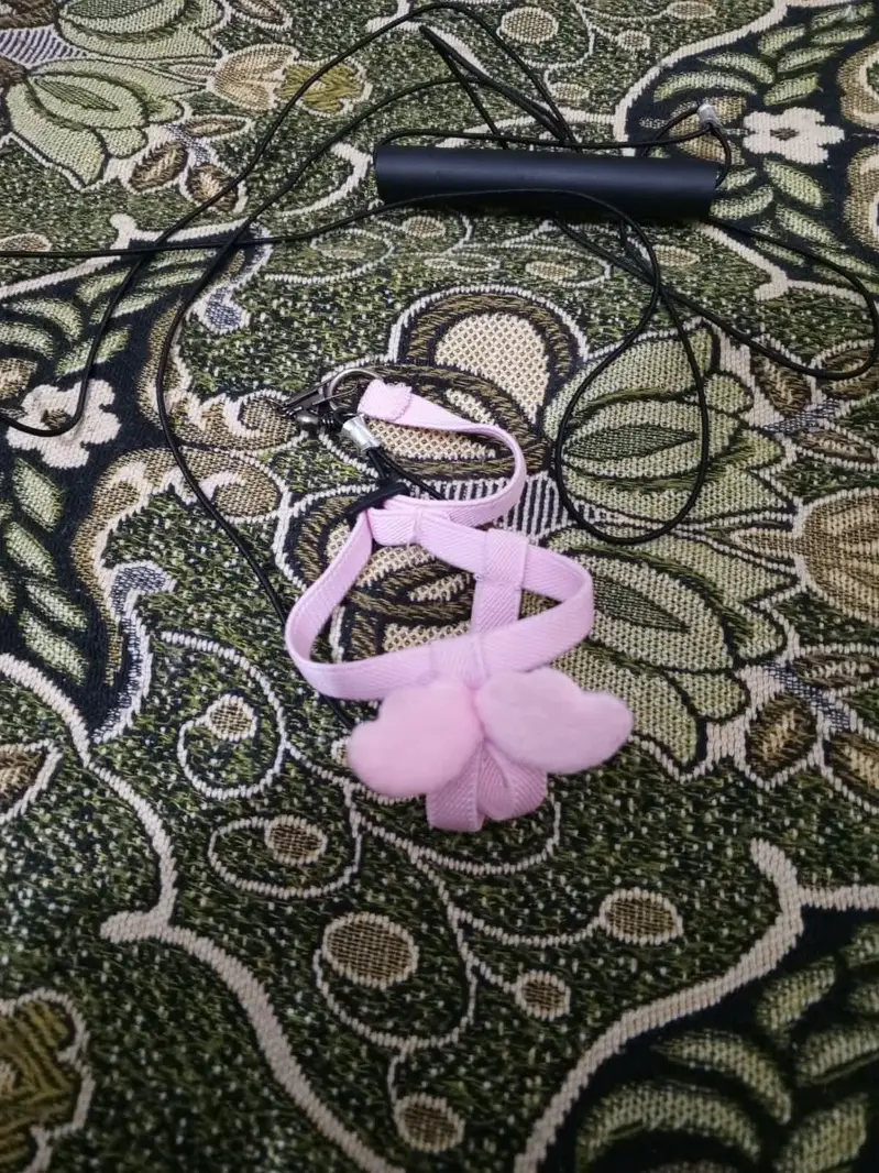 HAMSTER BALL & HARNESS FOR SALE — photo 4