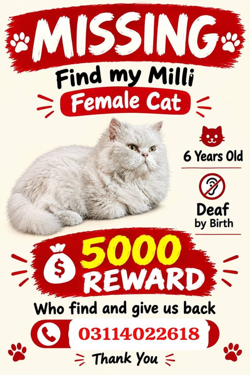 Loost cat 0